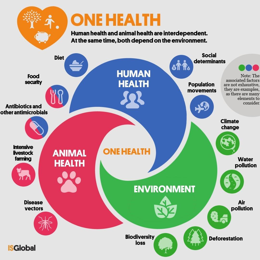 One Health - ISGLOBAL